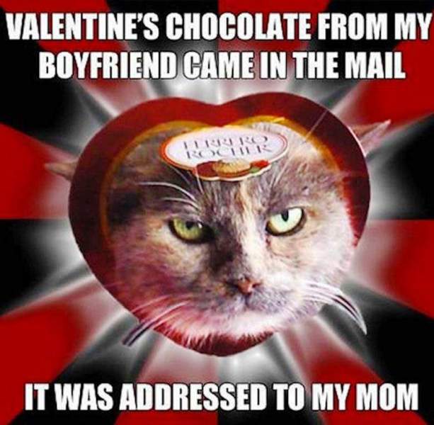 Valentines Chocolate From My Boyfriend