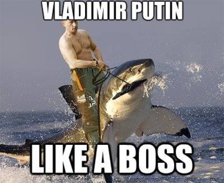 HILO DE PUTIN - Página 3 Vladimir-Putin-Like-A-Boss