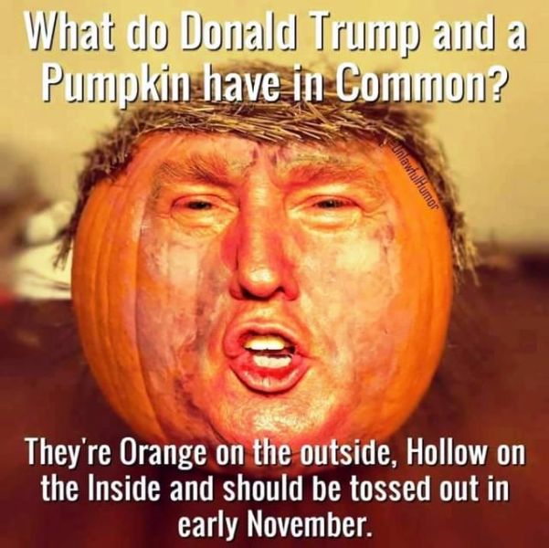 What Do Donald Trump And A Pumpkin