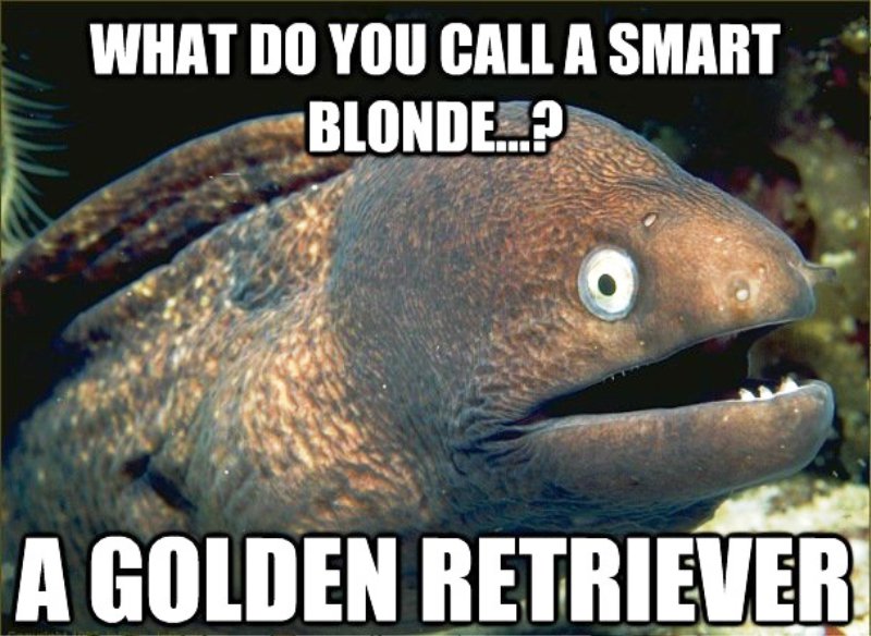 What Do You Call A Smart Blonde