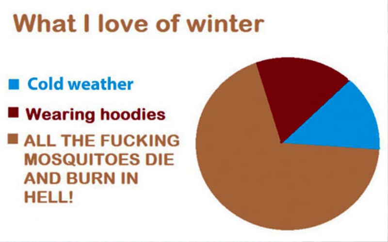 What I Love Of Winter