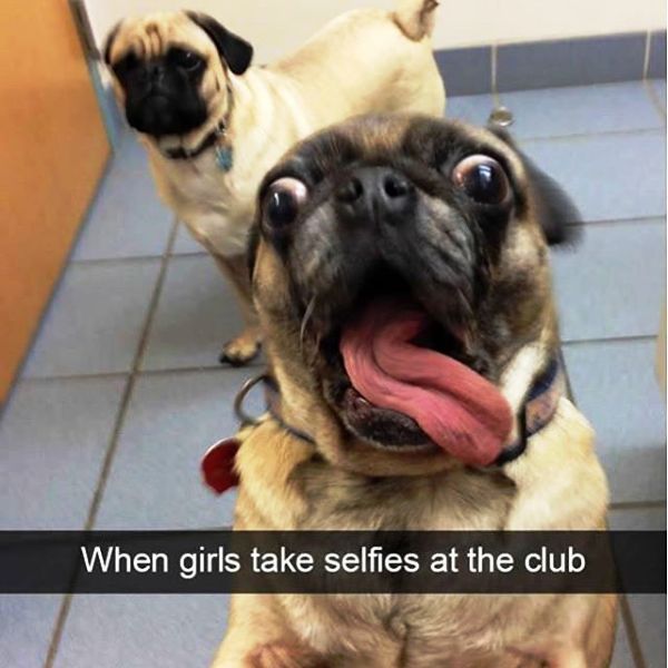 When Girls Take Selfie At The Club