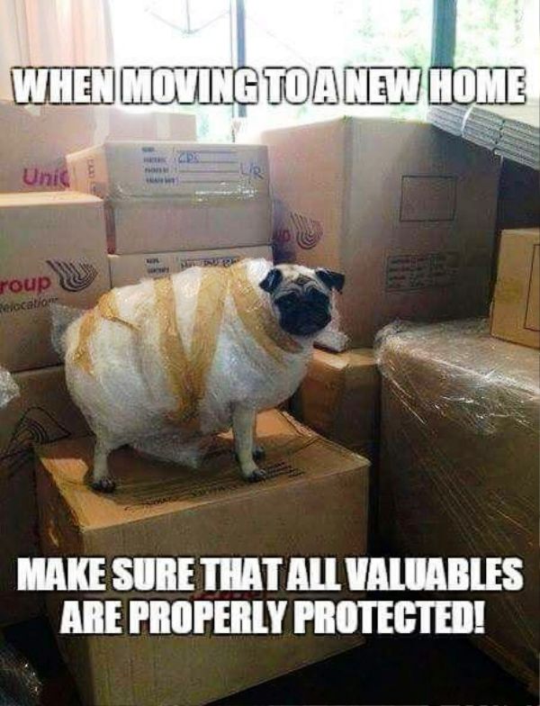 When Moving To A New Home