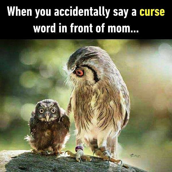 When You Accidentally Say A Curse Word