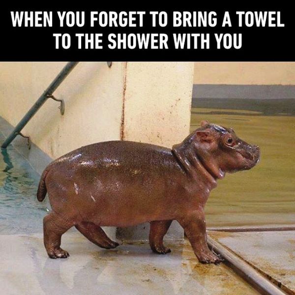 When You Forget To Bring A Towel