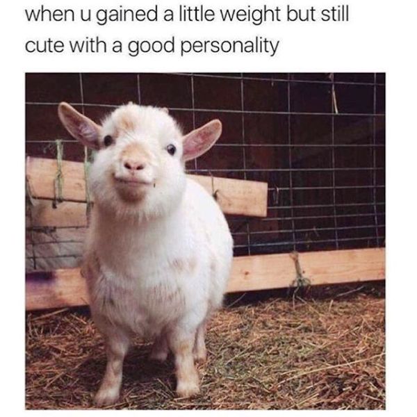 When You Gained A Little Weight