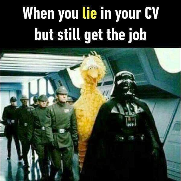 When You Lie In Your CV