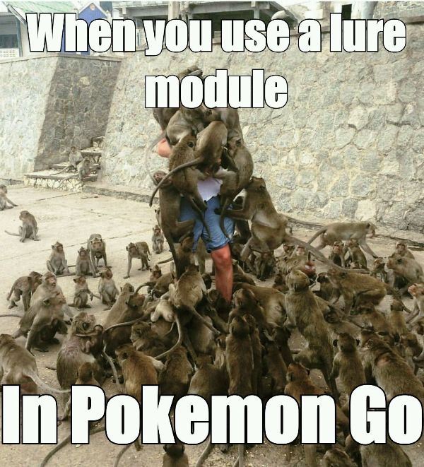 When You Use A Lure Module