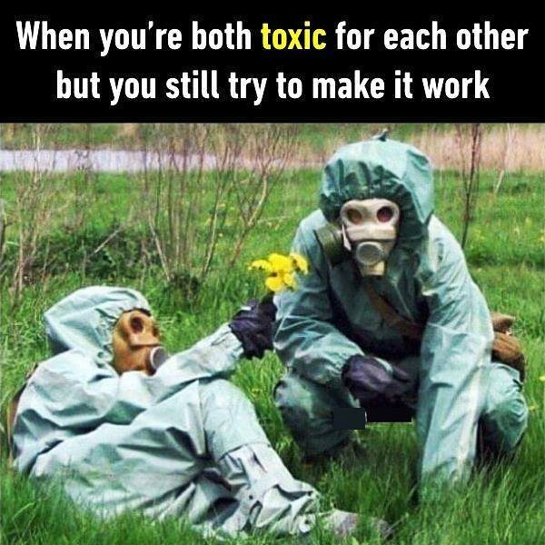When You re Both Toxic For Each Other