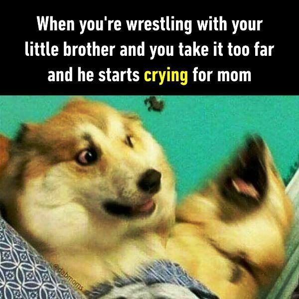 When You re Wrestling