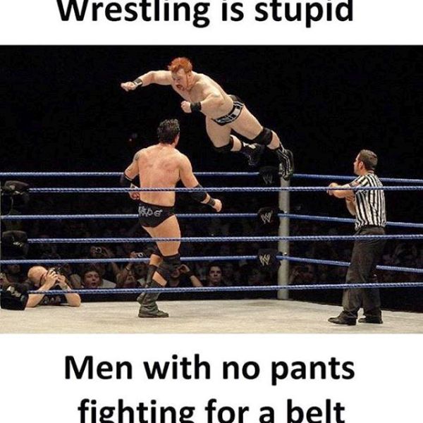 Wrestling Is Stupid