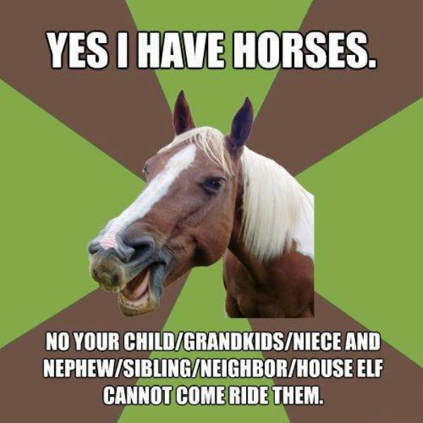 Yes I Have Horses