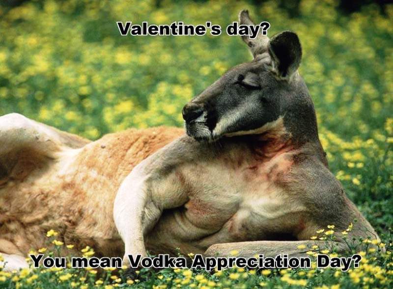 You Mean Vodka Appreciation Day