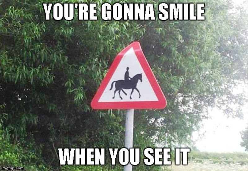 43 Awesome Horse Memes