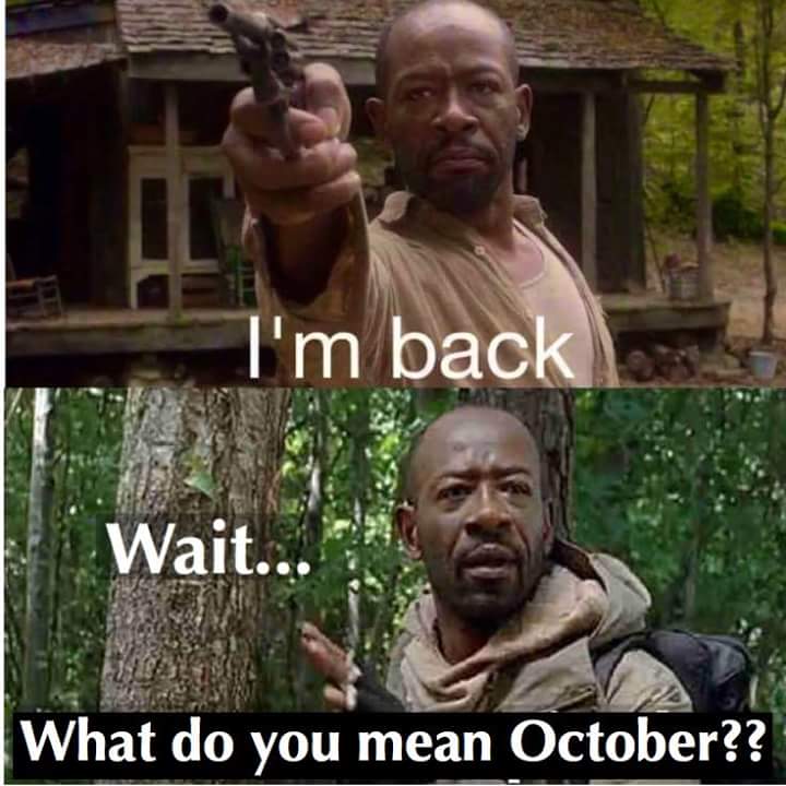 All Time Funny Walking Dead Memes 12