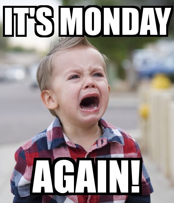 Funny Monday Memes 4