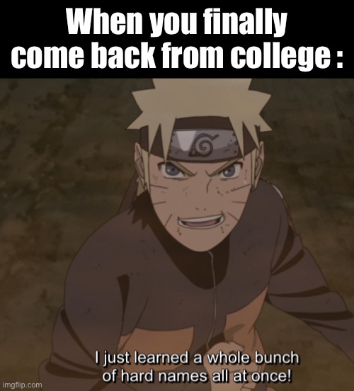 Funny Naruto Memes8