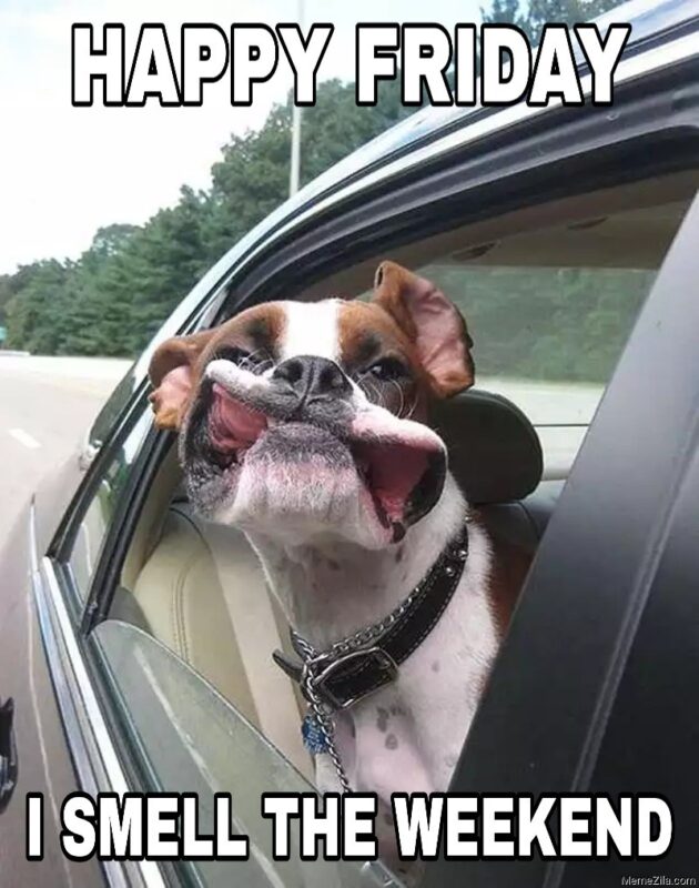 Happy Friday I Smell The Weekend Dog Meme 7131