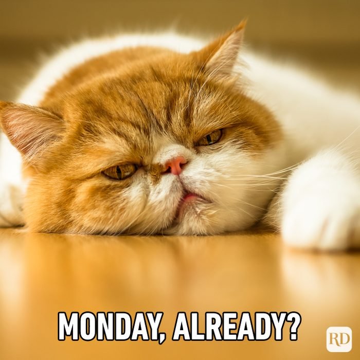 Monday Already