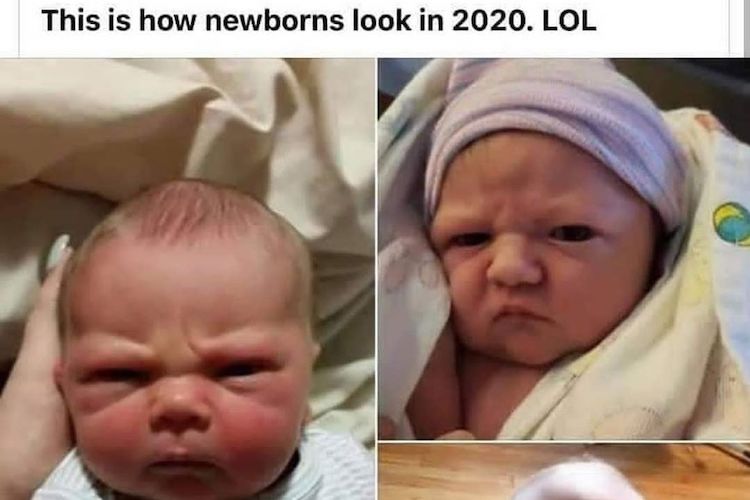 Baby Face Memes (11)