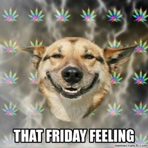 Friday Meme That Friday Feeling