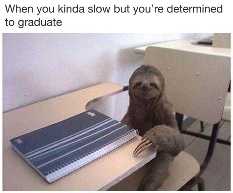 funny-meme-about-being-slow-but-determined-to-finish-school-picture-of-a-sloth