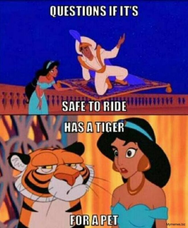 Funny Memes Disney Cartoon (2)