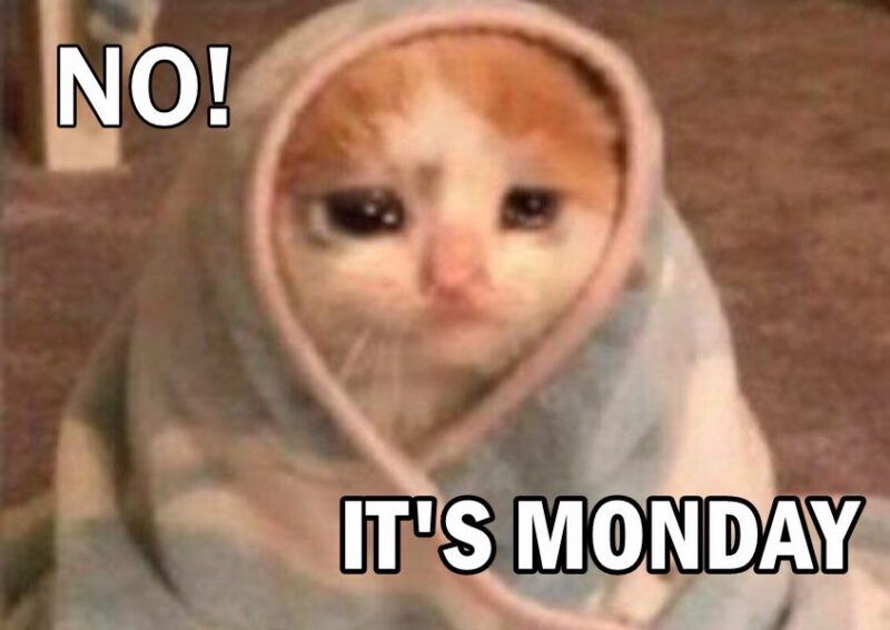Funny Monday Memes