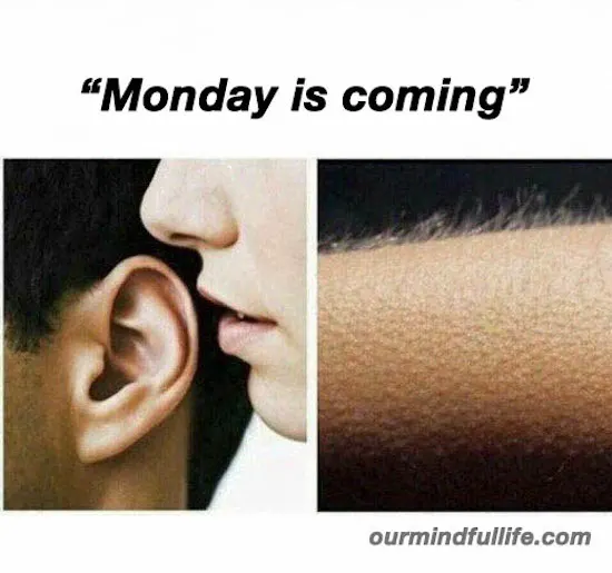 Funny Monday Memes Ourmindfullife.com 7.jpg