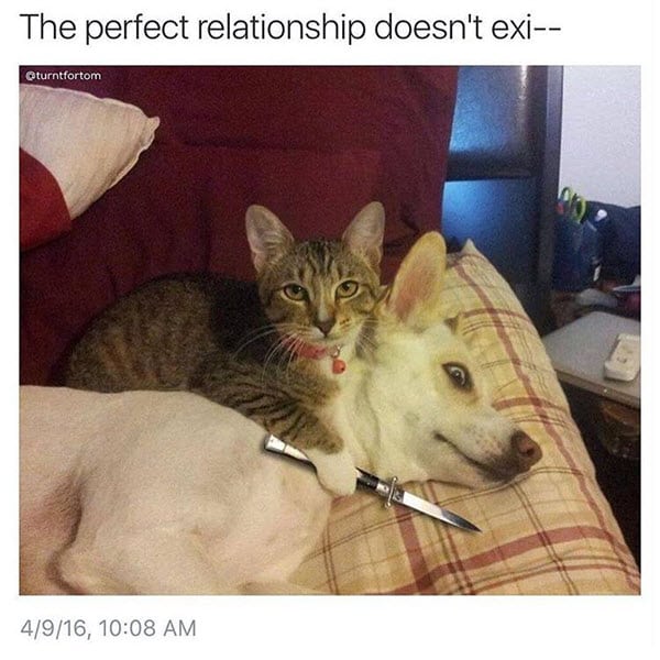 Funny cute relationship memes (1)8542
