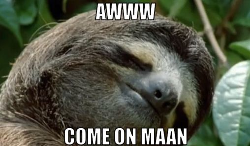 funny sloth memes6