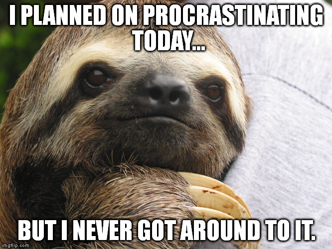 funny slow sloth meme 10