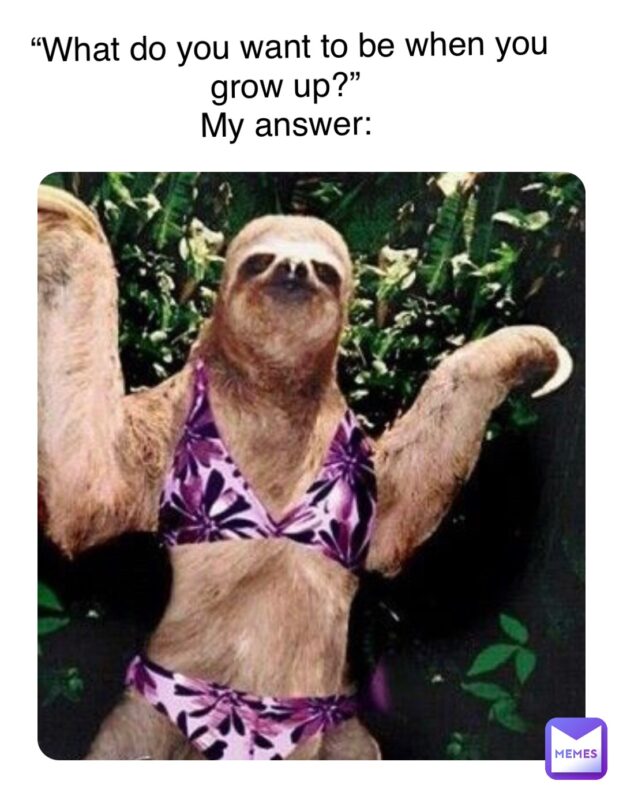 funny slow sloth meme 2