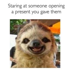 funny slow sloth meme 6