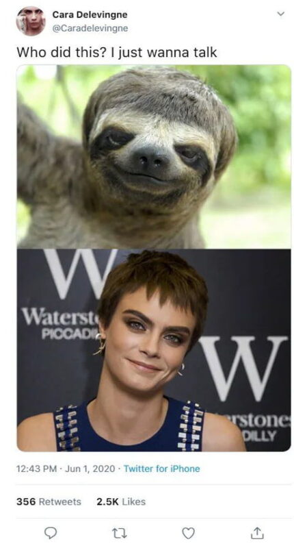 funny slow sloth meme 8