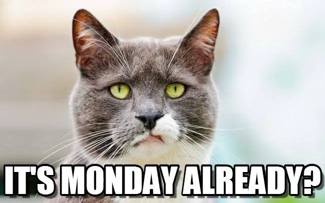 Its Monday Already