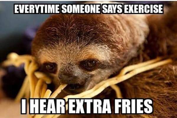 sloth-meme-everytime-someone-says-exercise-i-hear-extra-fries