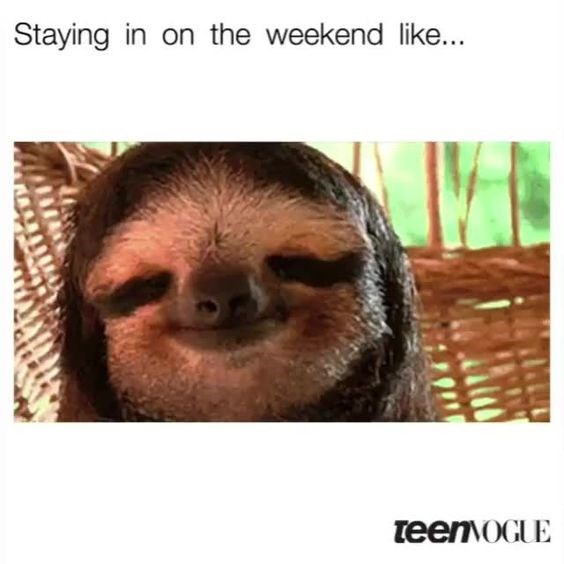 sloth-meme-of-a-sloth-that-look-content-after-not-going-out-on-the-weekend