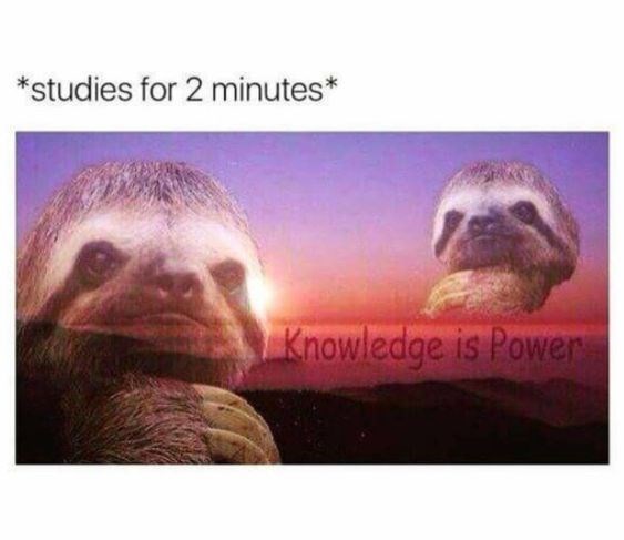 sloth-meme-with-a-background-of-the-ocean-and-saying-knowledge-is-power