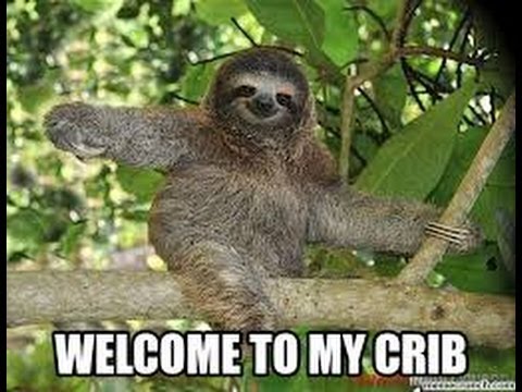 sloth memes az memes11