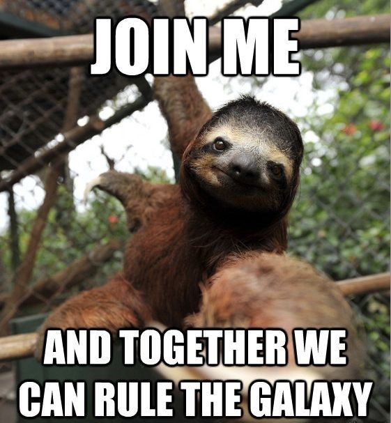 sloth memes az memes5