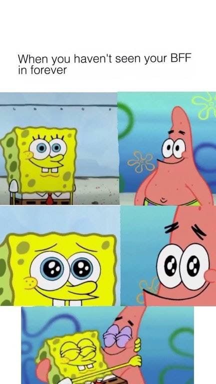 spongebob patrick memes (12)