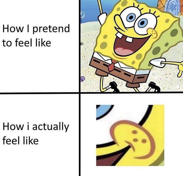 SpongeBob Patrick memes images (6)