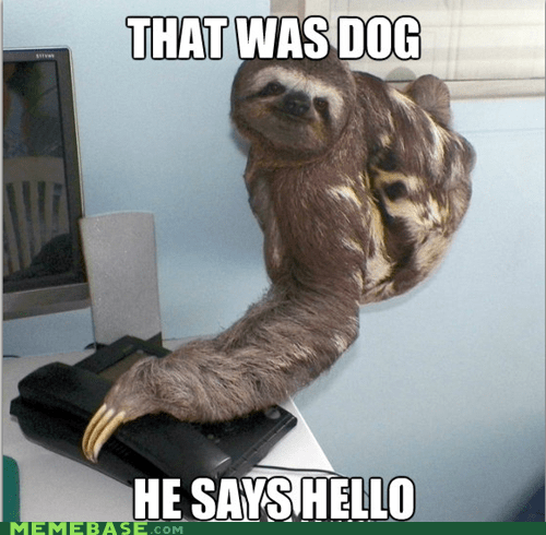 yes-this-is-sloth