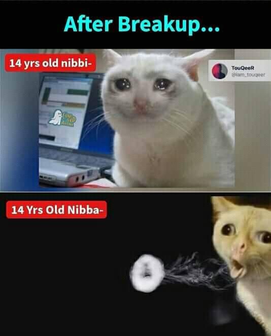 14 Years Old Nibba Nibbi Memes2
