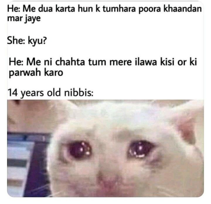 14 Years Old Nibba Nibbi Memes3