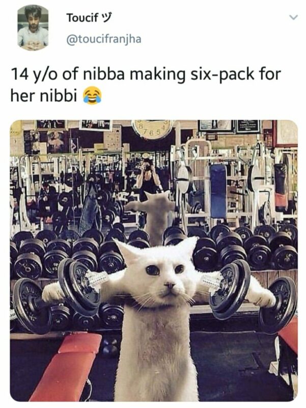 14 Years Old Nibba Nibbi Memes7