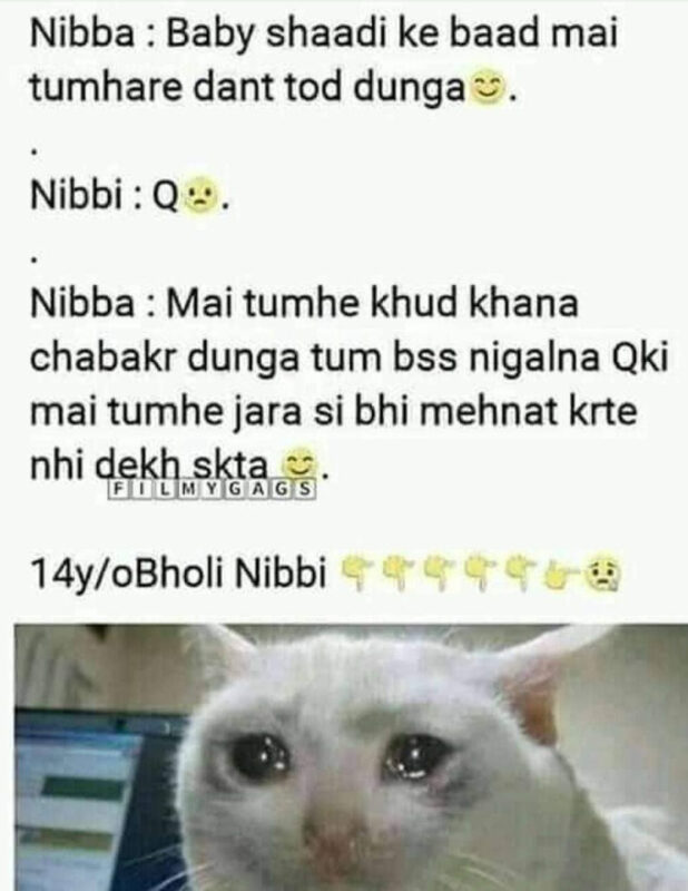 14 Years Old Nibbi Nibba Memes 12