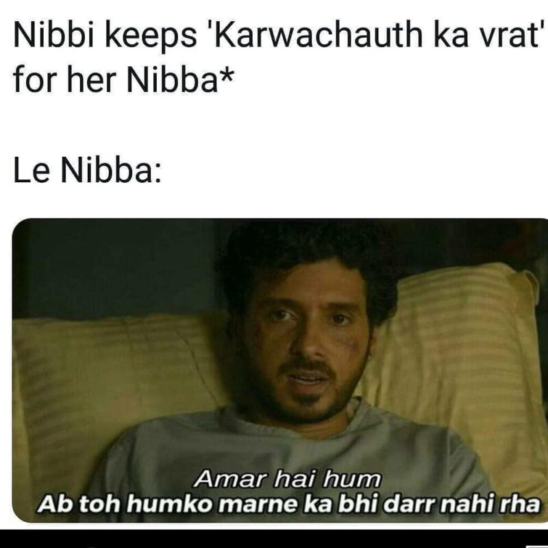 14 Years Old Nibbi Nibba Memes 2
