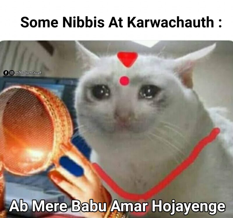 14 Years Old Nibbi Nibba Memes 4